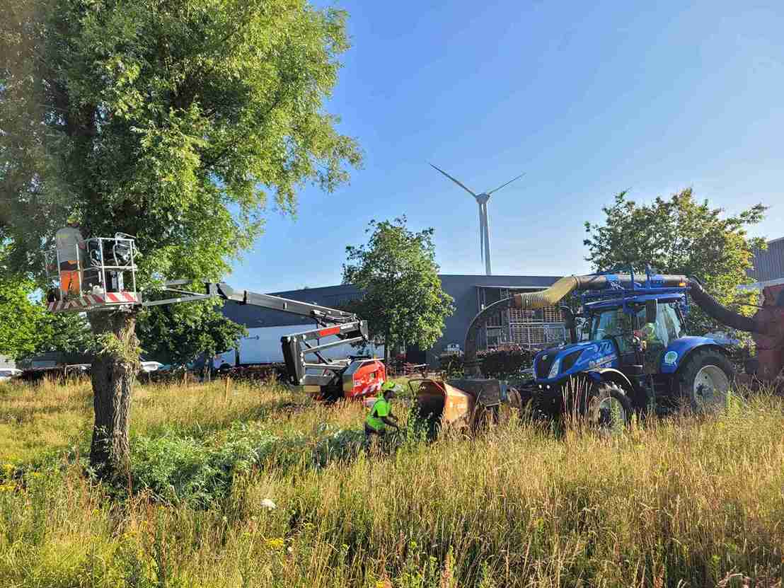 Boomverzorging Groep De Vlieger